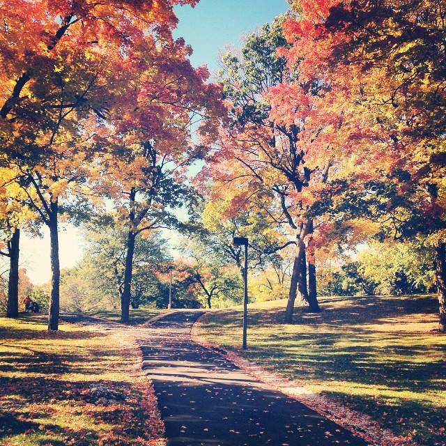 10441022_10204836233966577_2232787842469357773_n