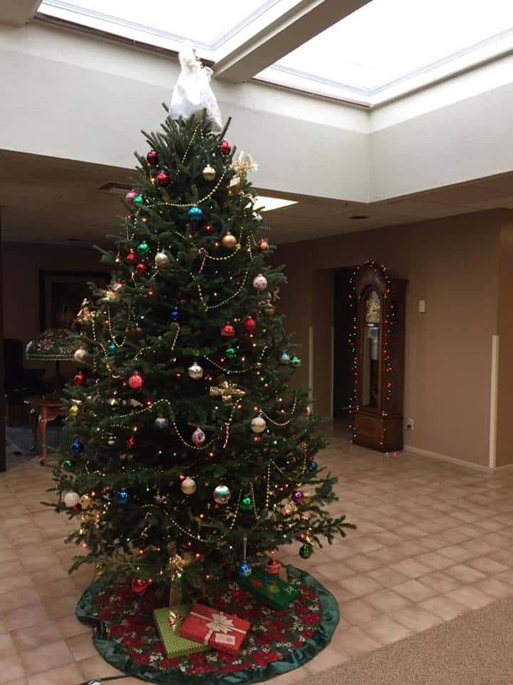 15401225_10211173638477729_1542946351_n